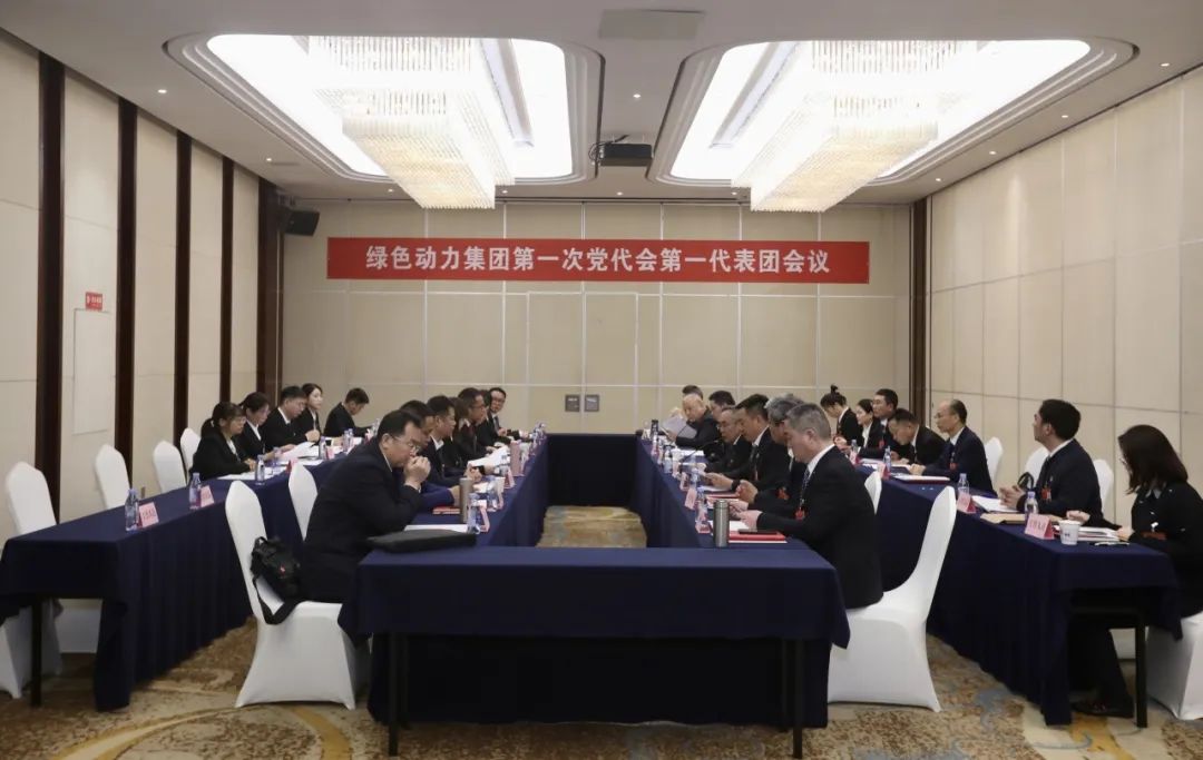 铭刻使命再出发，，代表热议“两委”报告