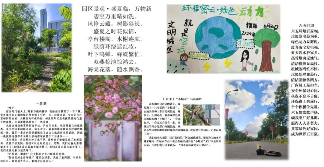 EV扑克官网-不凡成绩非凡,相信品牌的实力