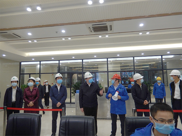 广西壮族自治区人大常委会副主任张秀隆视察EV扑克博白项目